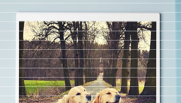 Посмотреть ответ: