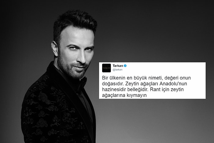 Tarkan, Zeytinliklerin İmara Açılmasına İsyan Etti: 'Rant İçin Zeytin Ağaçlarına Kıymayın'