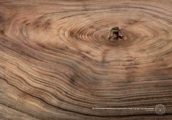 21. Ormanların azalması insanlık için "de" büyük bir kayıp.