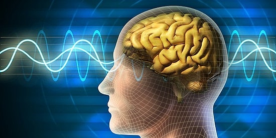 Думаете, что разбираетесь в психологии? Тогда ответьте на ВСЕ вопросы этого теста!