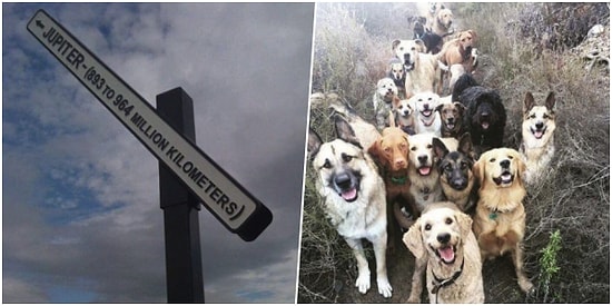 Onedio Instagram Hesabı İftiharla Sunar! Mayıs Ayının En Çok Beğenilen 27 Paylaşımı