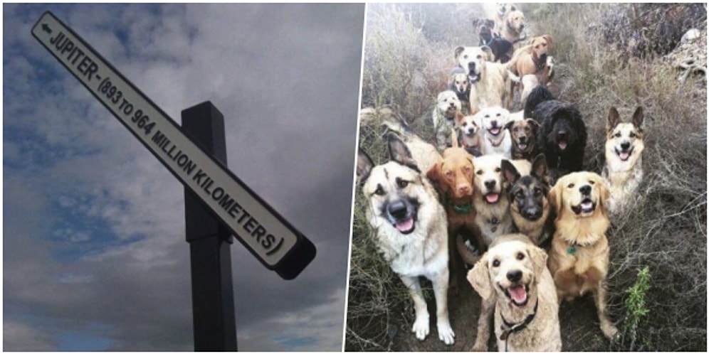 Onedio Instagram Hesabı İftiharla Sunar! Mayıs Ayının En Çok Beğenilen 27 Paylaşımı