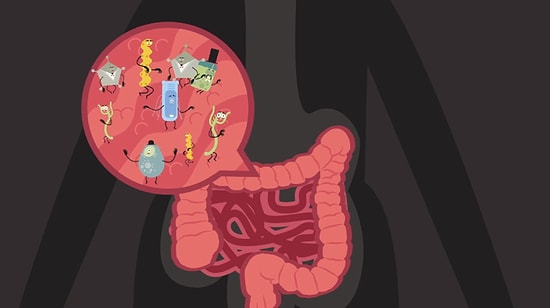 Yediğiniz Yiyecekler Bağırsaklarınızı Nasıl Etkiler?