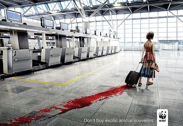 11. Don't buy exotic animal souvenirs.