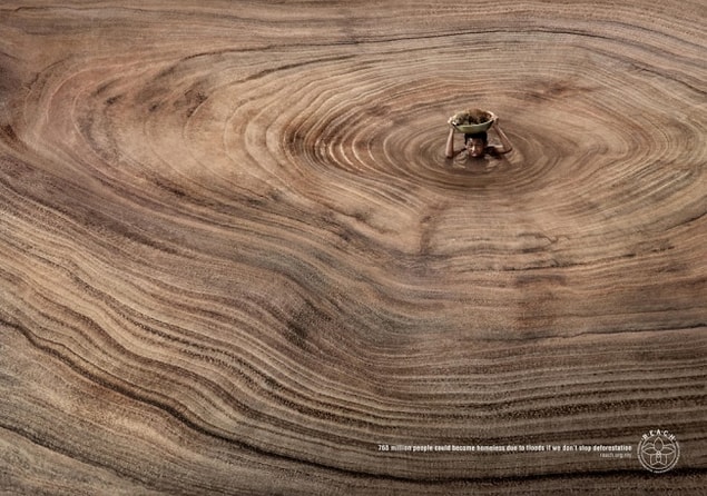 21. A reminder that deforestation causes real suffering.