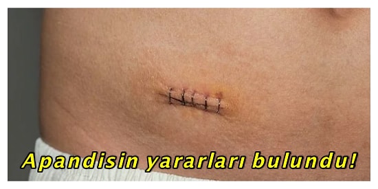 Bu Yılın Başında Bilmediğimiz ve Keşfedildikten Sonra Ufkumuzu Açan 15 İlginç Keşif