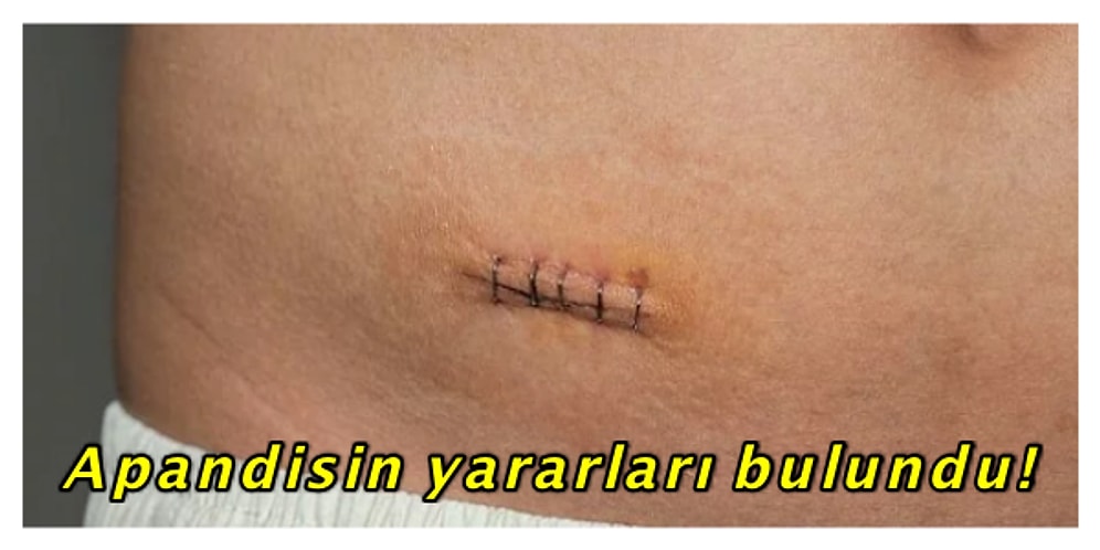 Bu Yılın Başında Bilmediğimiz ve Keşfedildikten Sonra Ufkumuzu Açan 15 İlginç Keşif