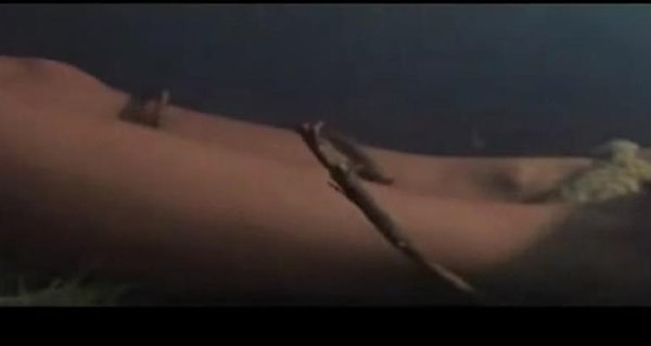 13. Зловещие мертвецы - Дендрофобия (боязнь деревьев)