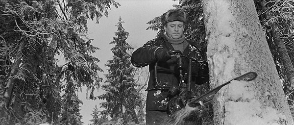 10. Часть съемок фильма проходила в поселке Оленино, где в 60-е проходили настоящие лесозаготовки.