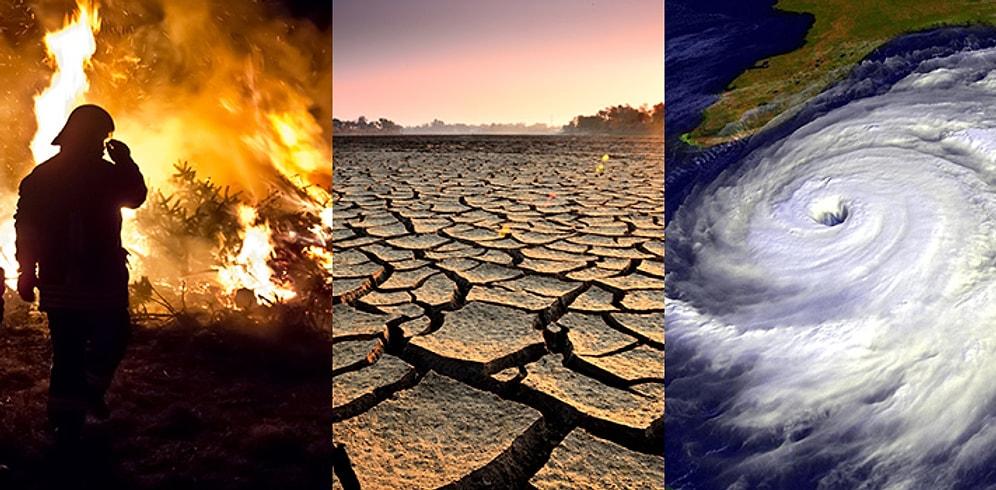 13 Short Answers To The Most Common Questions About Global Warming