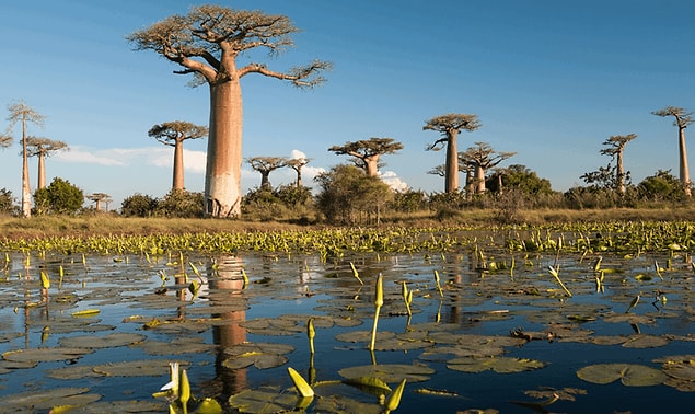 5. Madagaskar hangi kıtada bulunmakta peki?