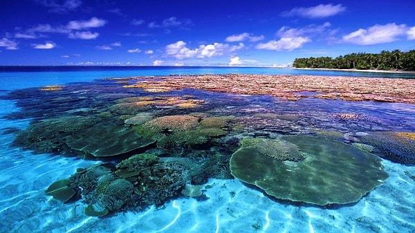 14. Marshall Adaları hangi okyanus üzerinde ola ki?