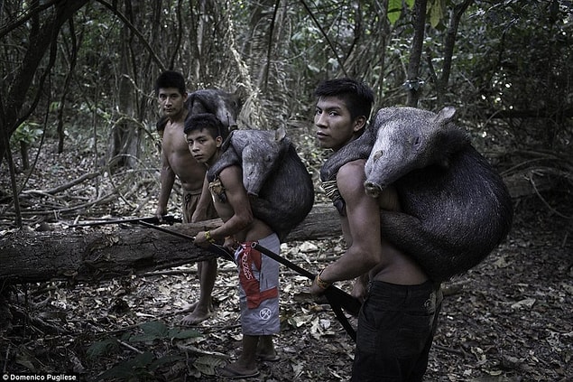 Family is all important to the Awa, and it is not confined to humans.
