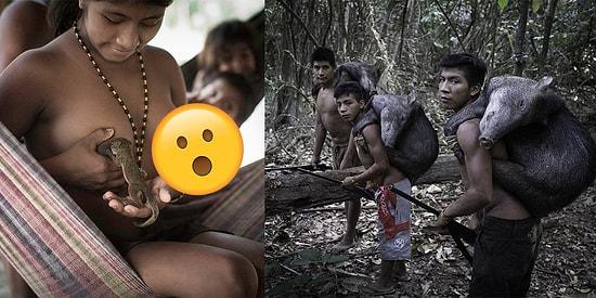 On The Brink Of Extinction: 14 Stunning Photos Of The Awa Amazon Tribe!