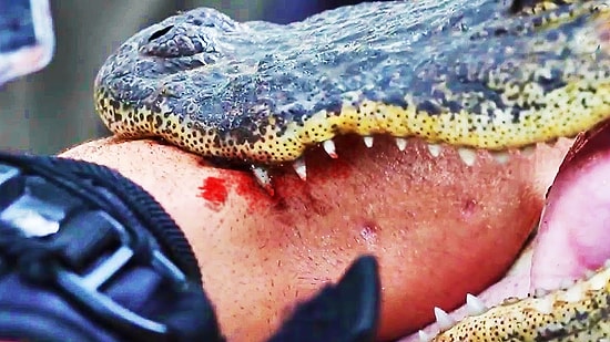 В Зимбабве аллигаторы съели профессионального охотника