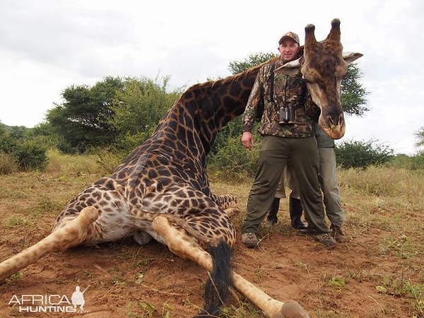 3. На протяжении таких туров охота ведется в основном на крупную дичь.