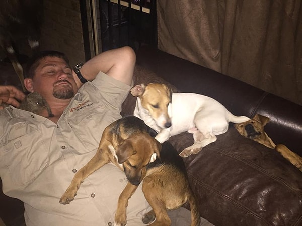 5. По информации издания Daily Telegraph, в какой-то момент охотники покинули автомобиль и разошлись в разные стороны. Позднее собаки вернулись в лагерь без ван Зила.