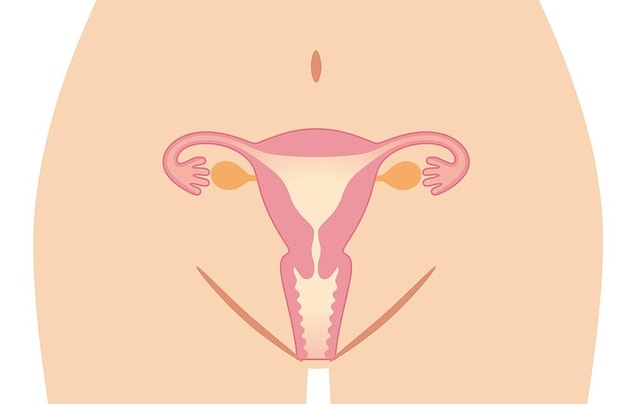 6. Bir kadın hayatı boyunca yarım milyona yakın yumurta üretir, fakat bunlardan en fazla 400 küsuru döllenme imkanına sahip olur.