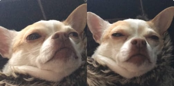 1. Когда вы буквально ощущаете ИХ приближение