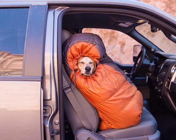 12. Когда тампоны или прокладки кончились, и вы должны идти за ними в магазин