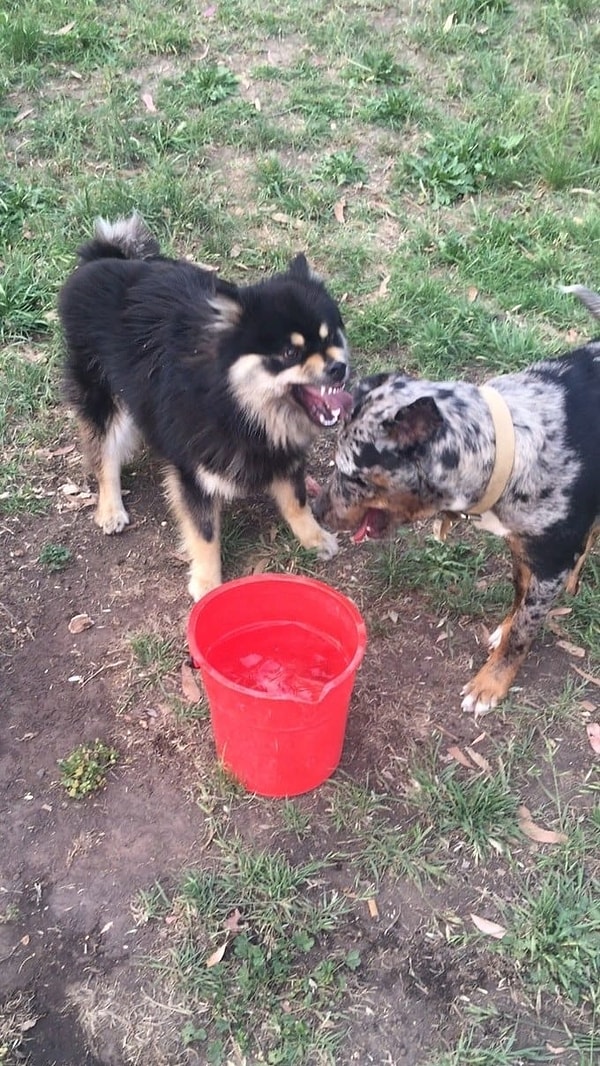 13. Когда вам хочется срываться на каждом встречном