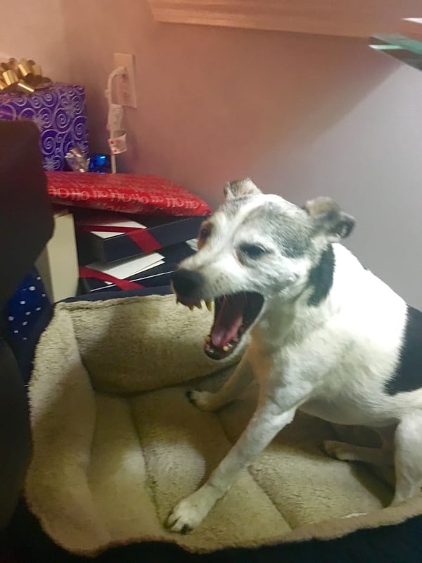 15. Когда вы не знаете, почему вы плачете, но вы продолжаете плакать