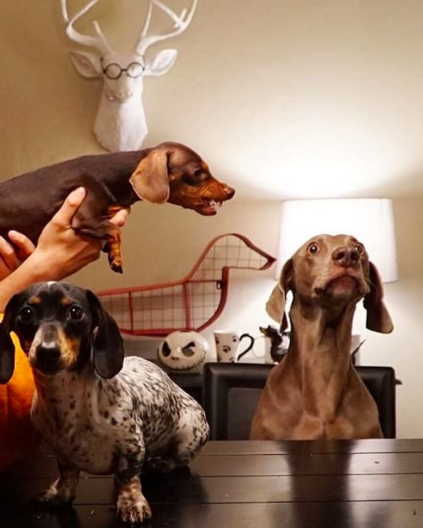 18. Когда кто-то спрашивает, зачем вы берете с собой сумку в туалет