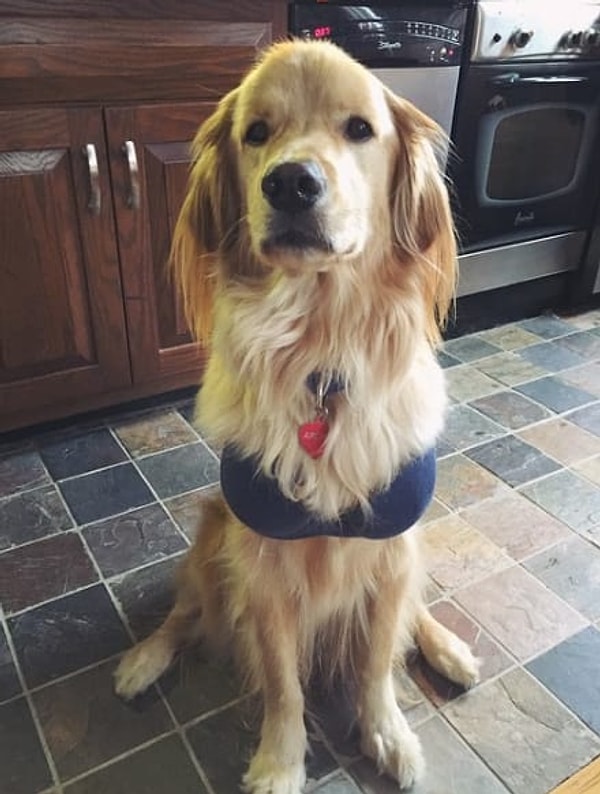 20. Когда ваша грудь раздувается в два раза