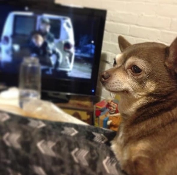 22. Когда вы хотите заняться сексом, и он вдруг спрашивает: "А твои критические дни уже закончились?"