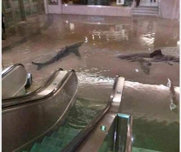 5. Снимок из затопленного научного центра Кувейта