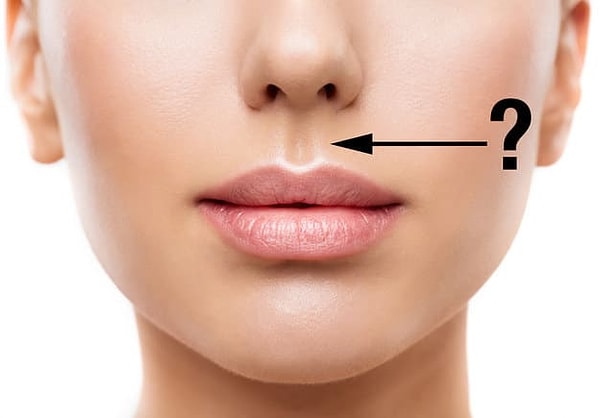 8. Как называется желобок между носом и верхней губой?