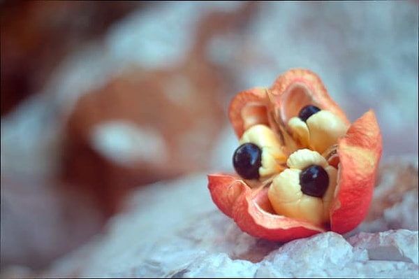 19. Как называется этот фрукт?