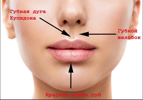 Посмотреть ответ: