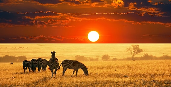 36 убедительных причин посетить Африку