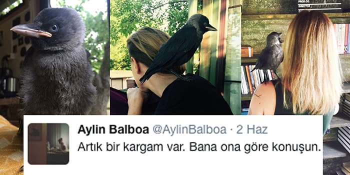 Sahiplendiği Kargayla Sıkı Bir Dostluk Kuran Aylin Balboa'nın İçinizi Isıtacak Hikâyesi