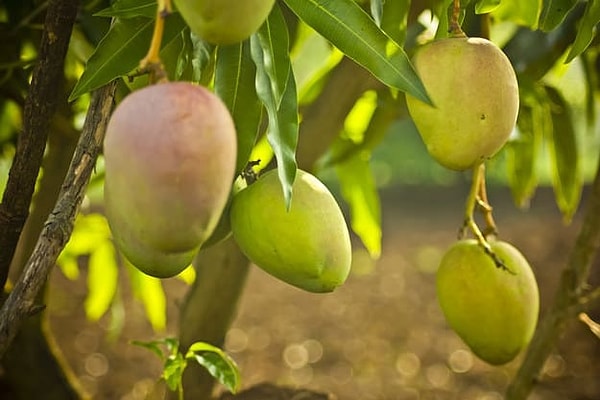 2. Это уже немного сложнее...