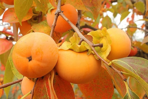 8. И наконец, последний вопрос