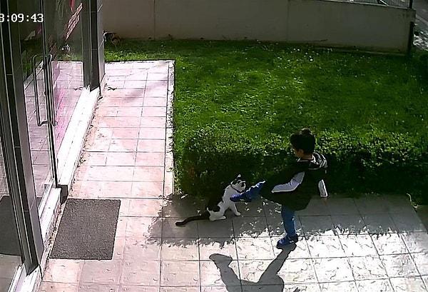 Tekmesi kediye isabet etmeyen çocuğa veteriner hekim Turgay Özdemir sözle uyarıda bulundu.