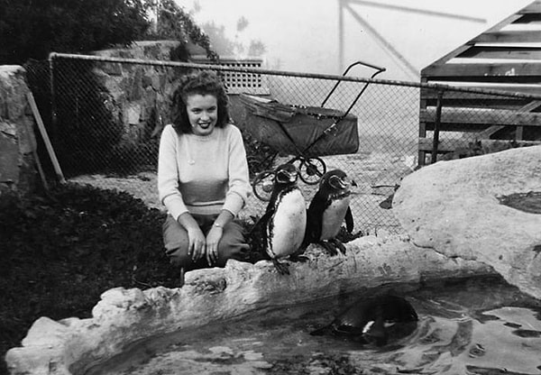 10. Молодая Норма Джин Мортенсон играет с пингвинами в зоопарке