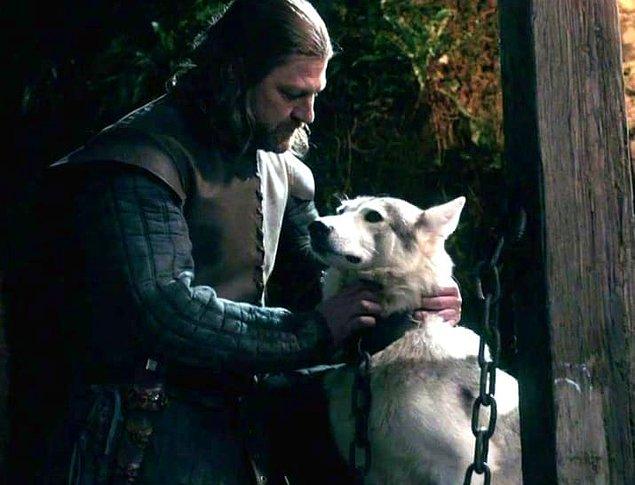 5. Cersei, Lady'nin ölümünü emrettiğinde.