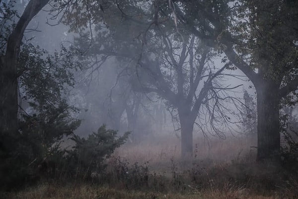 2. Этот навязчивый страх называется гомихлофобия или небулафобия