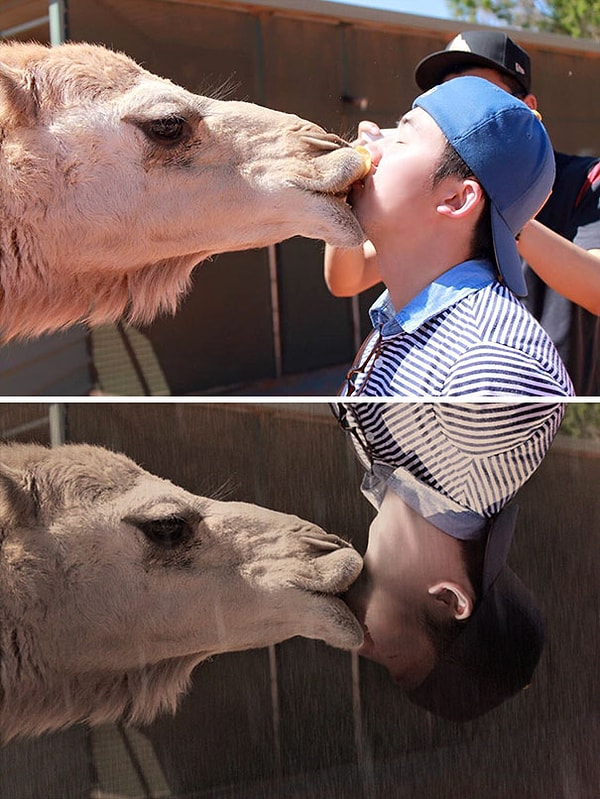 9. "Можно сделать это фото более приличным и превратить в сцену из фильма?"