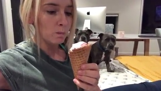 Dondurma Yalayan Kadını Gizli Gizli Seyreden Köpekler