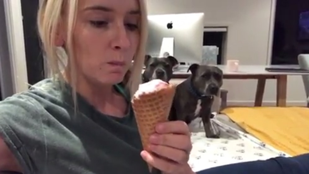 Dondurma Yalayan Kadını Gizli Gizli Seyreden Köpekler