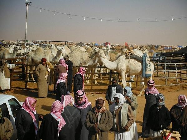 8. Riyad'da her gün 100'ün üzerinde deve alınıp satılıyor.