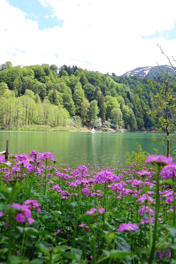 Fotoğrafçılar İçin Cennet