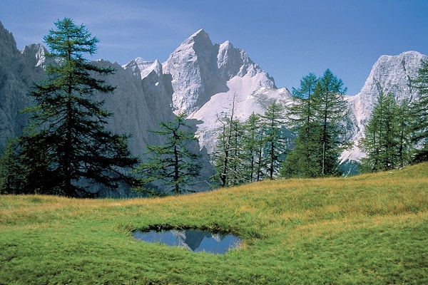 Triglav Ulusal Park'ı da Bled bölgesinde gidebileceğiz yerlerden biri.