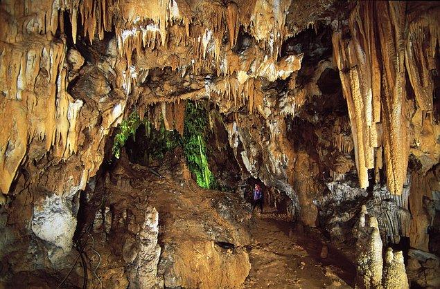 Tün bunlar yeterli değilmiş gibi, Bled çevresinde ziyaret edebileceğiniz 300 metre uzunluğunda Babji zob mağarasını da ziyaret edebilirsiniz.