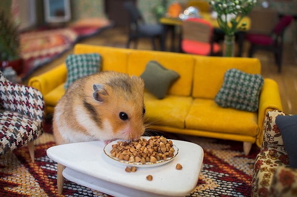 15. Жуй всегда и везде!