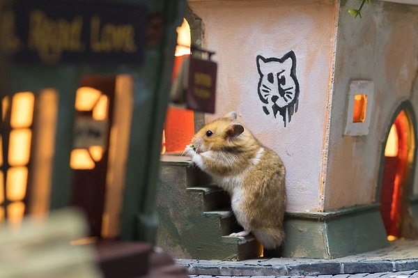 18. И снова с едой